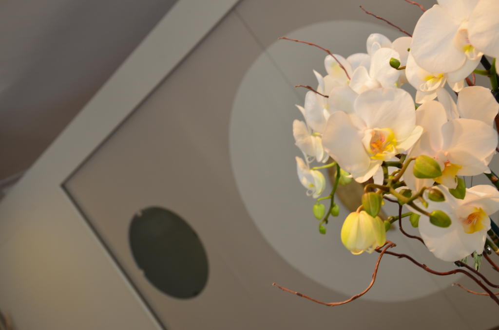 Hotel Mirage 밀라노마리티마 외부 사진